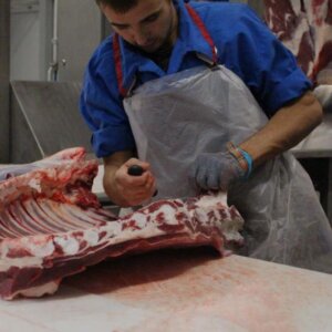 Deboning